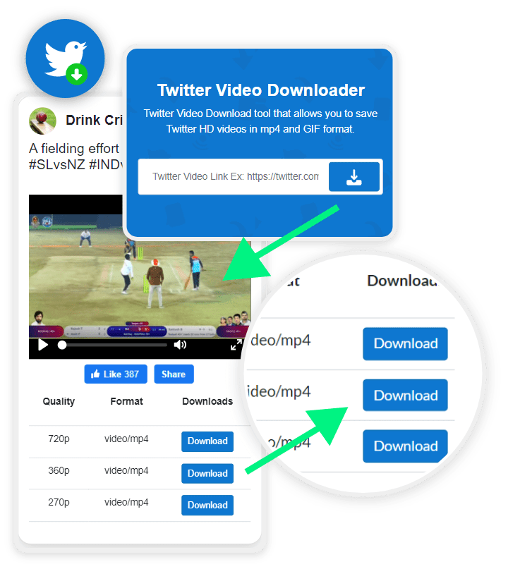 Download twitter video and GIFs